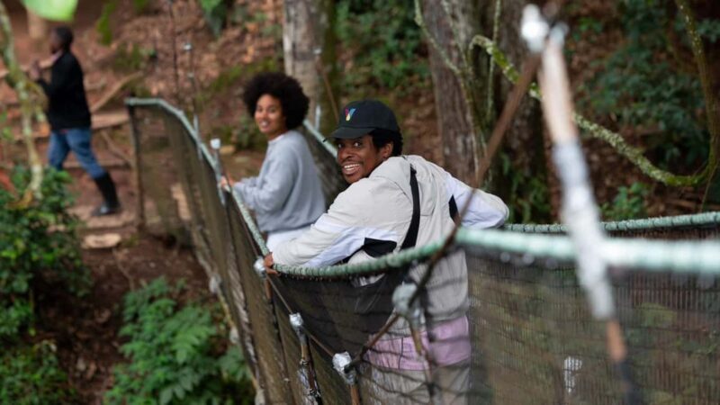 Rwanda 5-Day Safari to Nyungwe National Park and Lake Kivu - Key Points