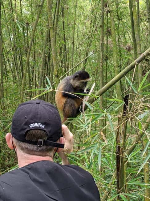 Rwanda: 5-Day Safari with Gorilla and Golden Monkey Trekking - Analyzing the Value