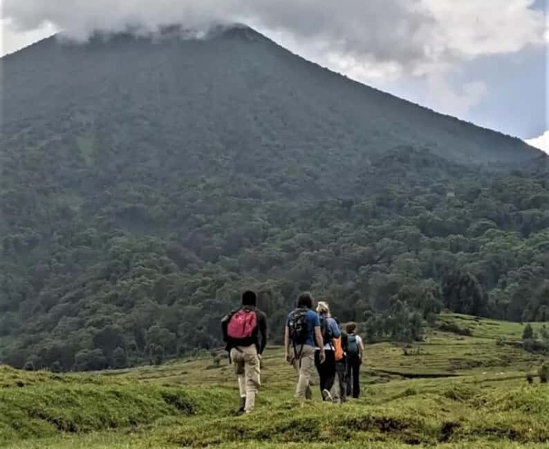 Rwanda: 5-Day Safari with Gorilla and Golden Monkey Trekking - Who Will Love This Tour?