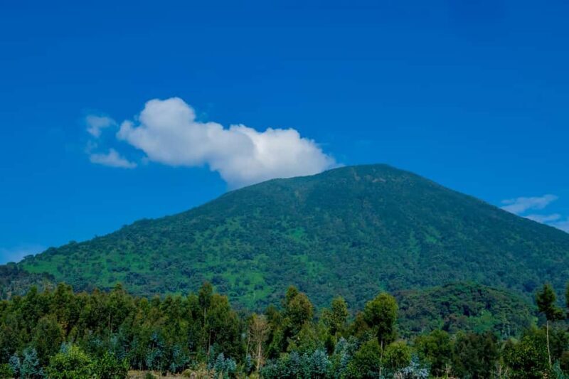 Rwanda: Bisoke Volcano Hike with Round-Trip from Kigali - Starting from Kigali: The Scenic Drive