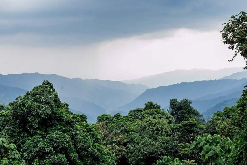 Rwanda: Luxury Gorilla Safari - The Sum Up: Who Should Consider This Tour?