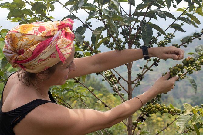Rwandan Coffee Experience - FAQ