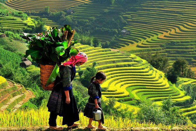 Sa Pa 2-Day Moderate Trek and Homestay Limousine Tour from Hanoi - The Itinerary: What to Expect