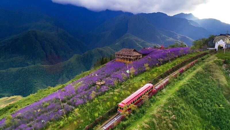 Sa Pa: Discover Fansipan Mountain Trek with Homestay 3 days - Who Will Love This Tour?