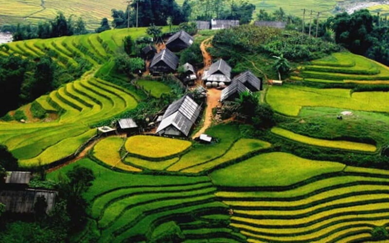 Sa Pa: Discover Fansipan Mountain Trek with Homestay 3 days - Key Points
