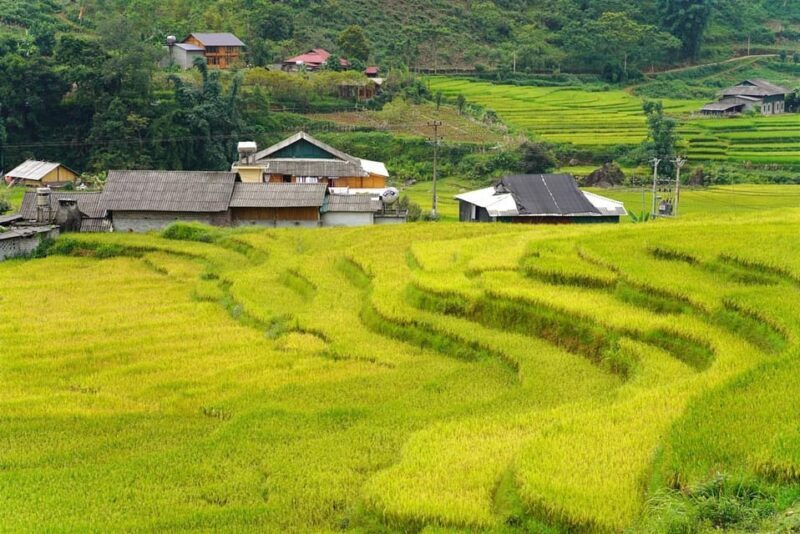 Sa Pa: Half-Day Cat Cat Village Hike to Meet H'mong People - Key Points
