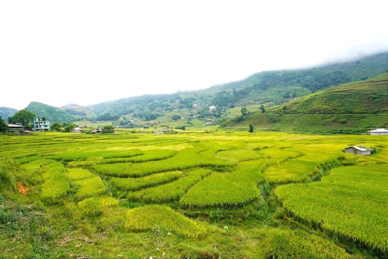 Sa Pa: Half-Day Cat Cat Village Hike to Meet H'mong People - Why Choose This Tour?