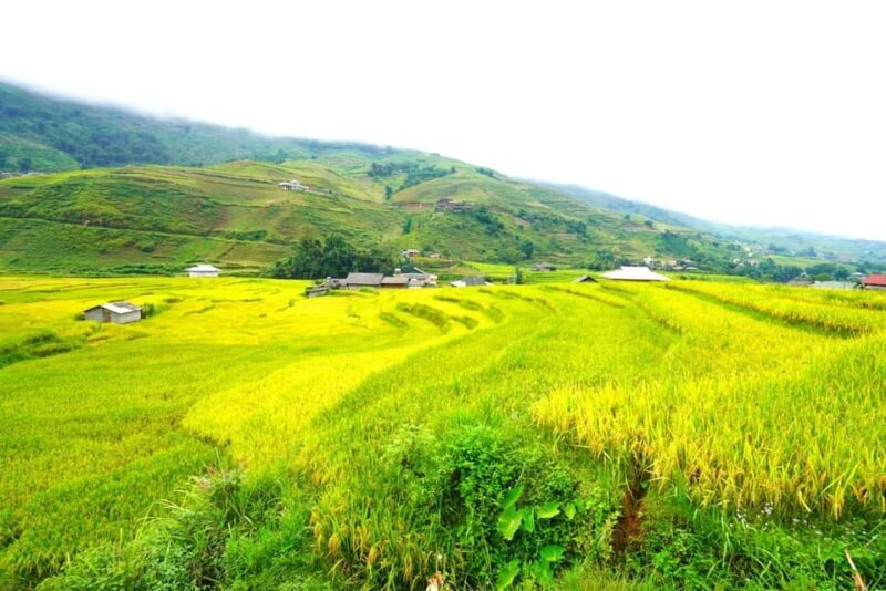 Sa Pa: Half-Day Cat Cat Village Hike to Meet H'mong People - Who Will Love This Tour?