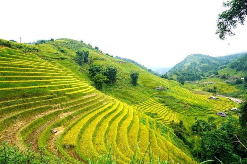 Sa Pa: Half-Day Cat Cat Village Hike to Meet H'mong People - Final Thoughts