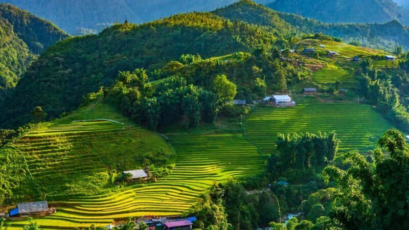 Sa Pa: Villages and Rice Fields Private Half-Day Car Tour - Who Will Love This Tour?