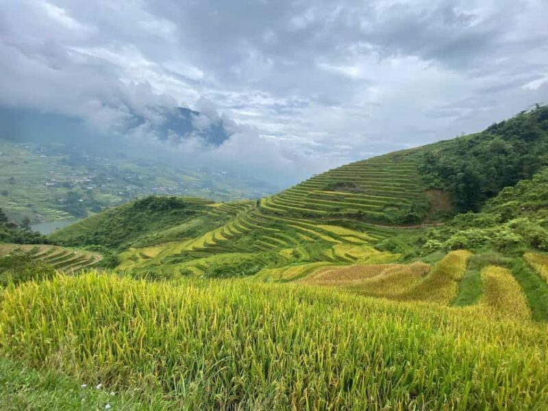 Sa Pa: Villages and Rice Fields Private Half-Day Car Tour - FAQs