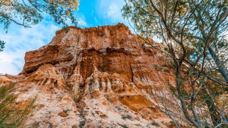 SA Riverland: 3-Day Murray River & National Parks Eco Tour - An Overview of the Murray River & National Parks Eco Tour