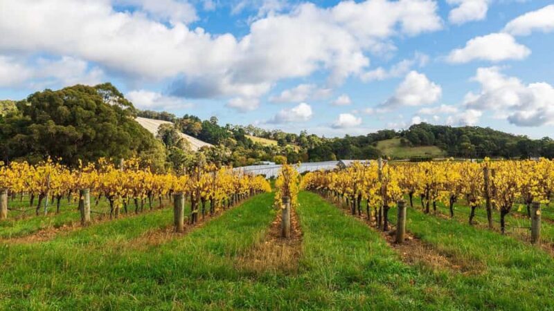 SA Riverland: 3-Day Murray River & National Parks Eco Tour - Final Thoughts