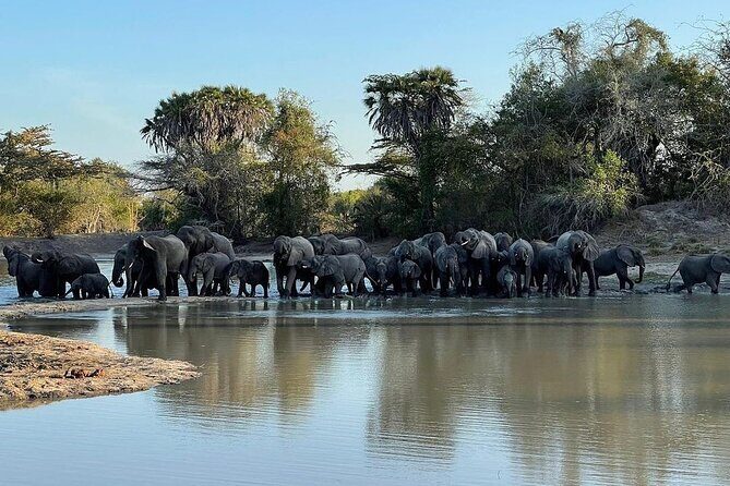 Saadani National Park Day Tour - A Closer Look at the Saadani National Park Day Tour