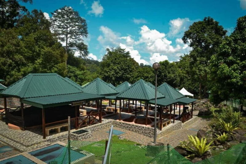 Sabah: Kinabalu Park, Poring Hot Springs & Desa Farm Tour - Key Points