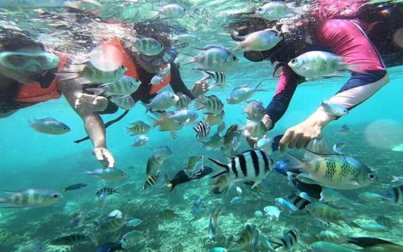 Sabah: Mantanani Island Day Tour with Lunch - What Makes This Tour Stand Out