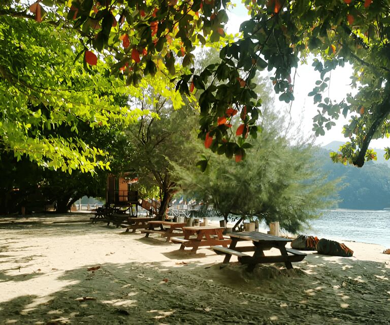Sabah: Manukan and Sapi Islands Excursion Ticket - Returning and Reflecting