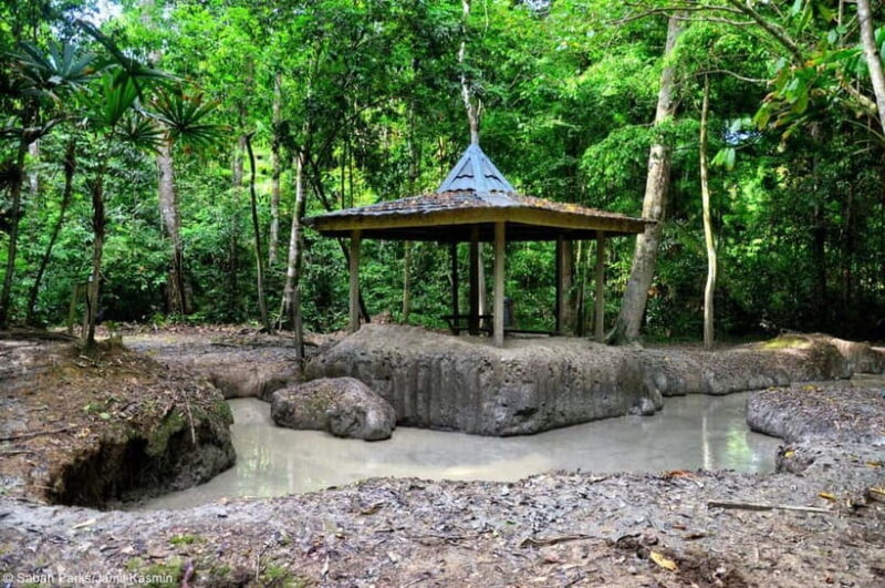 Sabah: Pulau Tiga Snorkeling Day Trip with Lunch - Key Points