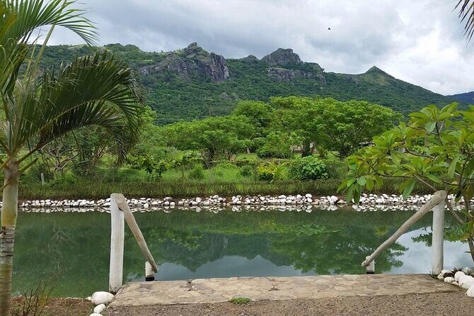 Sabeto Hot Springs and Mud Pool Tour - Key Points