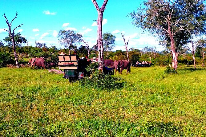 Sabi Sand Sunset Safari - Practical Details and Tips