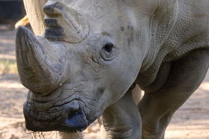 Sacramento Zoo General Admission Ticket - What You Get With Your Ticket