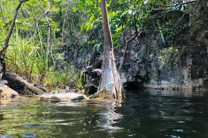 Sacred Adventure at Xenotes! 4 Different Cenotes + Round Transportation - Who Might Not Love It?
