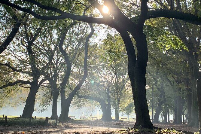 Sacred Morning Walk and Brunch Meiji Shrine - Final Thoughts