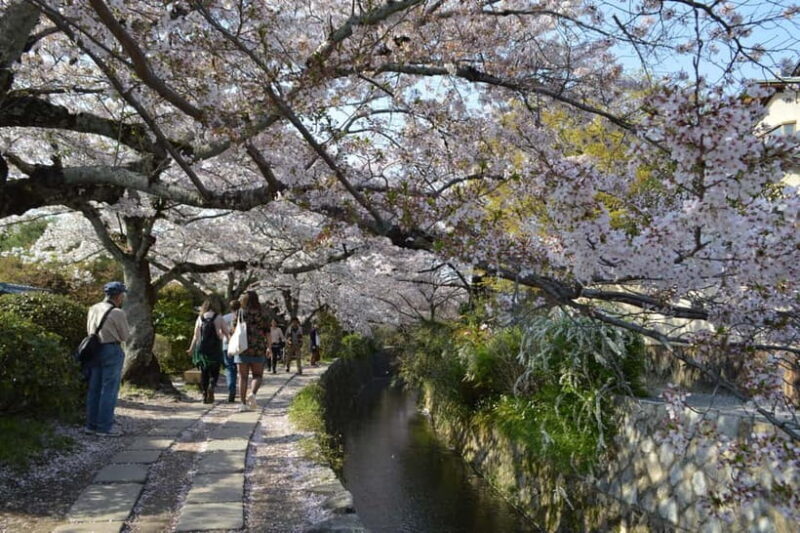 Sacred Pathways: Discover the Philosopher's Path of Kyoto - Who Will Love This Tour
