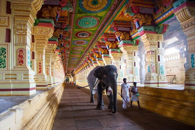 Sacred Rameshwaram: A Pilgrimage Day Tour from Madurai - Exploring the Sacred Island: What to Expect