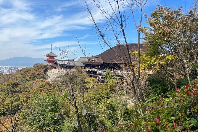 Sacred Treasure Fushimi Inari and Kiyomizu Dera Tour - Authentic Experiences and Authenticity