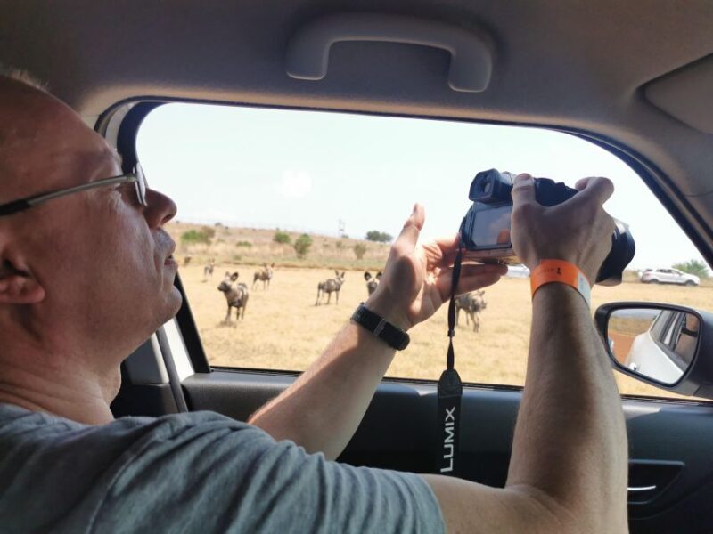 Safari at Lion and Rhino Park / Lesedi Culture Village - Key Points