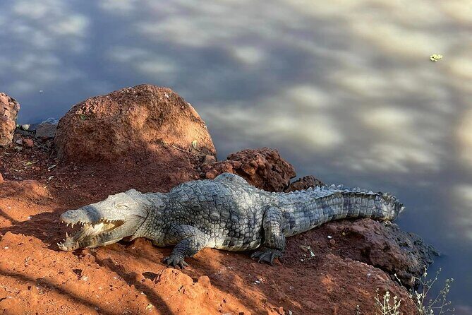safari at the bandia reserve - FAQs