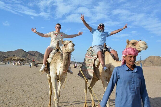 Safari ATV, Buggy, Camel, Bedouin Dinner and Hurghada Show - Safety and Comfort