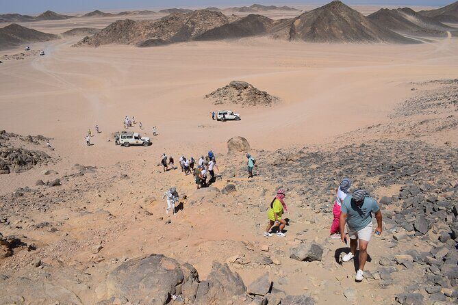 Safari ATV, Buggy, Camel, Bedouin Dinner and Hurghada Show - Who Is This Tour Best For?