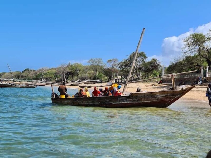 Safari blue day tour - An In-Depth Look at the Safari Blue Day Tour