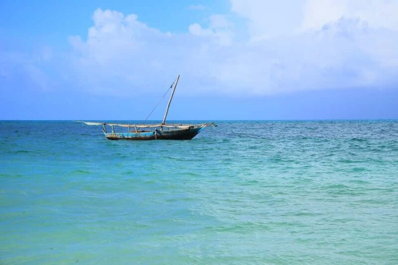 Safari Blue Full Day Trip - The Sandbank Stop: A Slice of Paradise