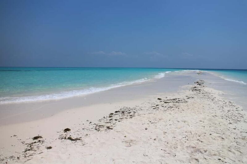 Safari Blue Full Day Trip - The Seaside Escape at Kwale Island