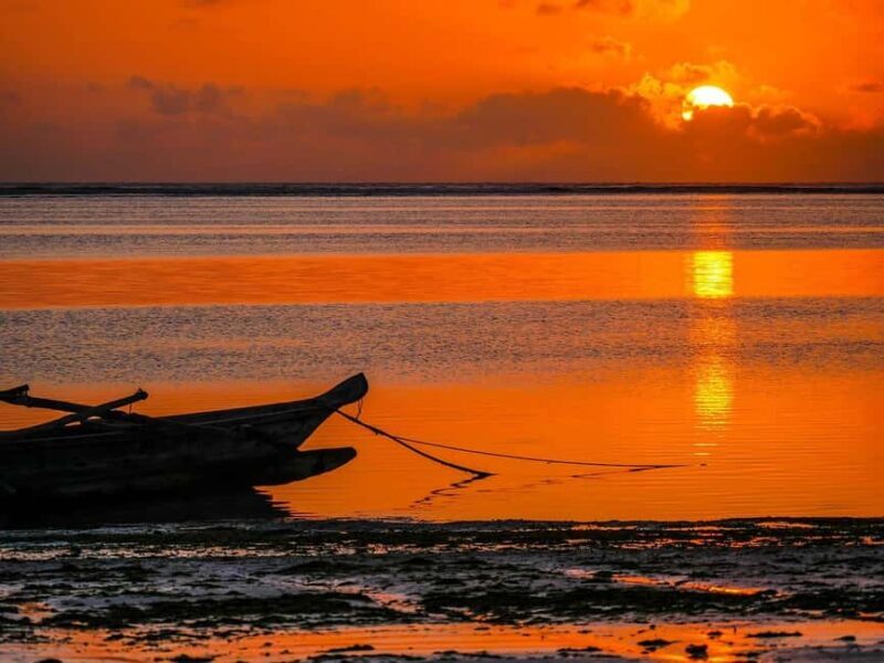Safari Blue Full Day Trip - Who Should Consider This Tour?