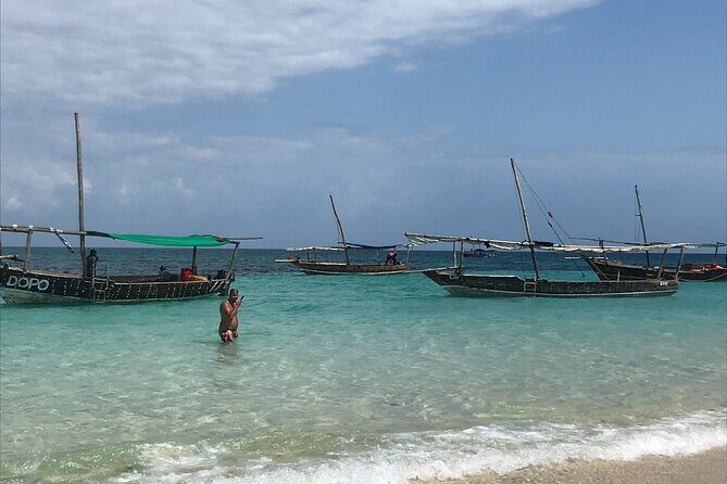 Safari Blue: Kwale Island Dhow Cruise & Snorkeling Adventure - What To Expect from the Tour
