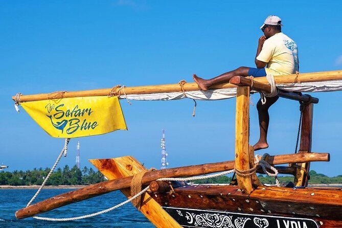 Safari Blue Private Full-Day Tour - A Detailed Look at the Safari Blue Private Full-Day Tour in Zanzibar