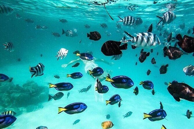 Safari Blue Private Full-Day Tour - Who Will Love This Tour?