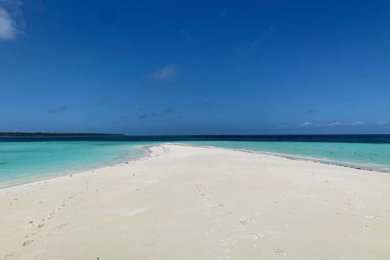 SAFARI BLUE ZANZIBAR SANDBANK AND SNORKELING TOUR - A Day on the Water: What to Expect from Safari Blue Zanzibar