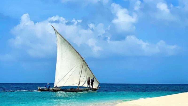 Safari Blue Zanzibar: Snorkeling Adventure with Lunch - What Is Safari Blue Zanzibar? An Overview