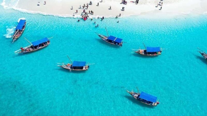 Safari Blue Zanzibar: Snorkeling Adventure with Lunch - The Experience’s Practical Side: Logistics & Value