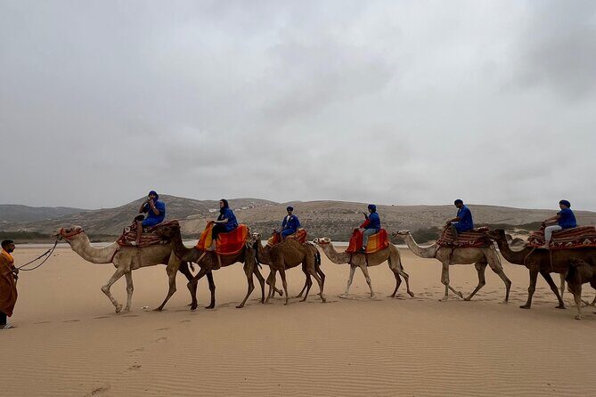 Safari Camel Ride in Banana Beach from Agadir - An In-Depth Look at the Camel Ride Experience