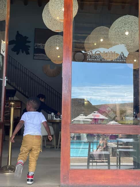 SAFARI- Cape Town Aquila Big 5 & Lunch (Hotel Pickup incl.) - How Does It Compare in Value?