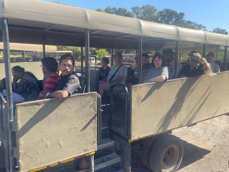 SAFARI- Cape Town Aquila Big 5 & Lunch (Hotel Pickup incl.) - The Sum Up: A Solid, Scenic Safari Close to Cape Town