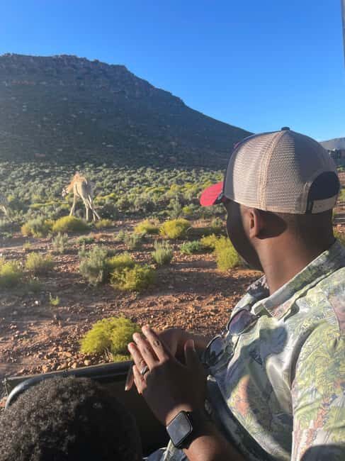 SAFARI- Cape Town Aquila Big 5 & Lunch (Hotel Pickup incl.) - FAQ