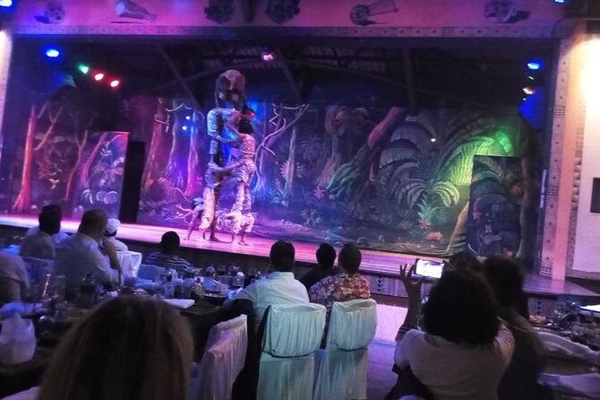 Safari Cat Dancers Show And Dinner - A Closer Look at the Itinerary and Experience