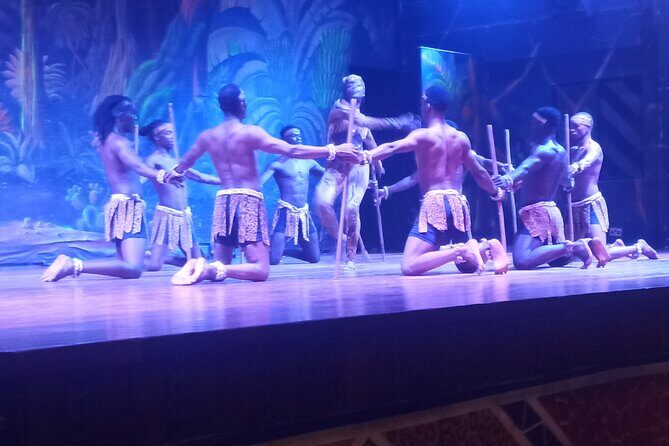 Safari Cat Dancers Show And Dinner - Practical Tips